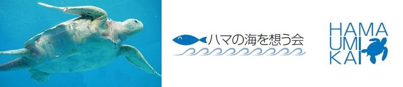 ハマの海を想う会　掲示板